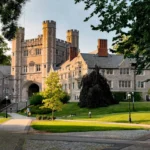 Best Colleges for Online Business Degrees in 2025-2026