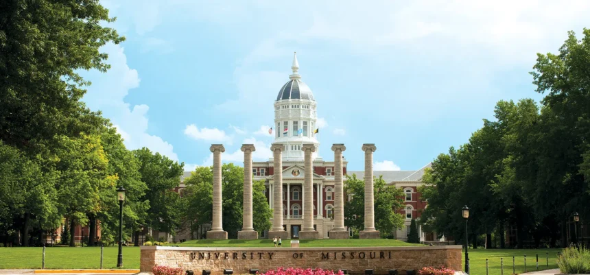 Top-Ranked Online Colleges and Universities in 2025-2026: The Definitive Guide to Accredited Degree Programs